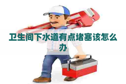 卫生间下水道有点堵塞该怎么办
