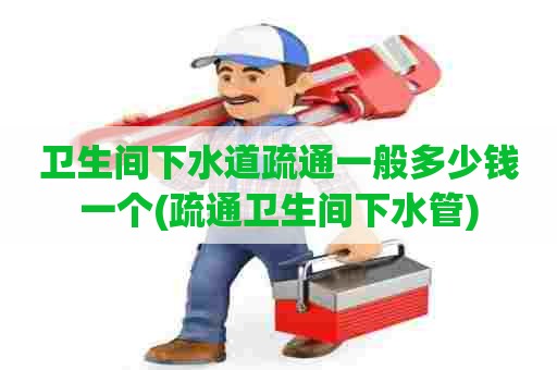 卫生间下水道疏通一般多少钱一个(疏通卫生间下水管)