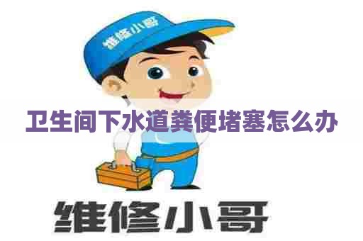 卫生间下水道粪便堵塞怎么办