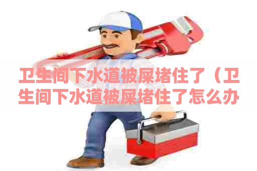 卫生间下水道被屎堵住了(卫生间下水道被屎堵住了怎么办) 卫生间下水道被屎堵住了(卫生间下水道被屎堵住了怎么办)