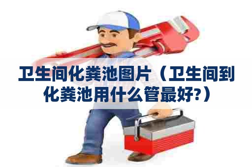 卫生间化粪池图片（卫生间到化粪池用什么管最好?）