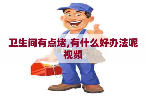 卫生间有点堵,有什么好办法呢视频