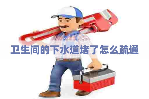 卫生间的下水道堵了怎么疏通