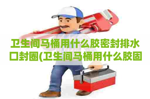 卫生间马桶用什么胶密封排水囗封圈(卫生间马桶用什么胶固定)