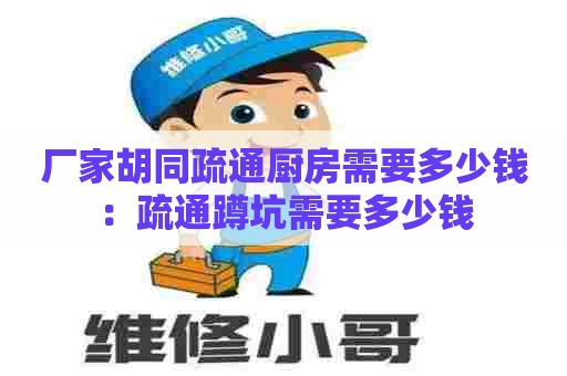 厂家胡同疏通厨房需要多少钱：疏通蹲坑需要多少钱