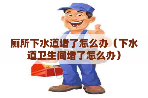 厕所下水道堵了怎么办（下水道卫生间堵了怎么办）