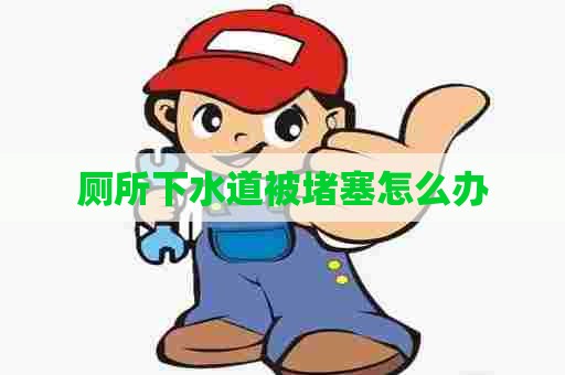 厕所下水道被堵塞怎么办