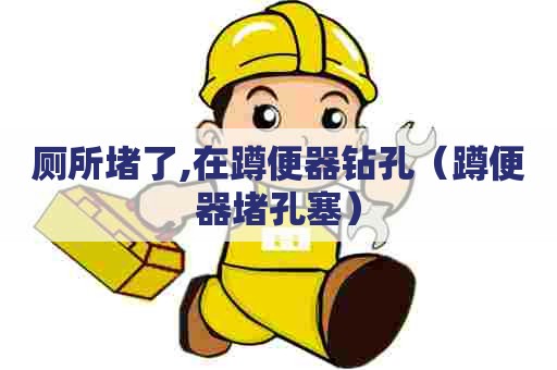 厕所堵了,在蹲便器钻孔（蹲便器堵孔塞）