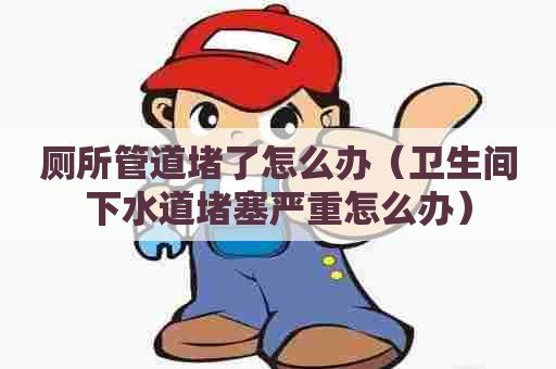 厕所管道堵了怎么办（卫生间下水道堵塞严重怎么办）