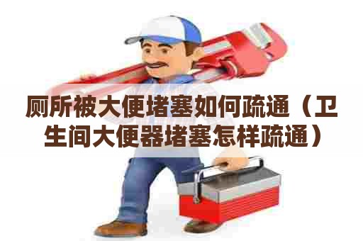 厕所被大便堵塞如何疏通(卫生间大便器堵塞怎样疏通) 厕所被大便堵塞如何疏通(卫生间大便器堵塞怎样疏通)