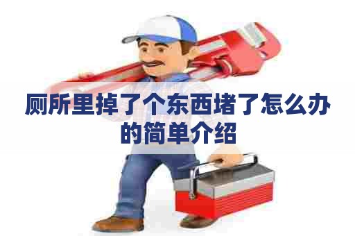 厕所里掉了个东西堵了怎么办的简单介绍 厕所里掉了个东西堵了怎么办的简单介绍