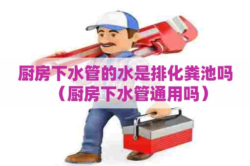 厨房下水管的水是排化粪池吗（厨房下水管通用吗）