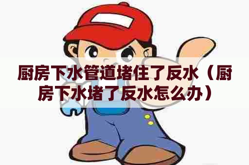 厨房下水管道堵住了反水(厨房下水堵了反水怎么办) 厨房下水管道堵住了反水(厨房下水堵了反水怎么办)