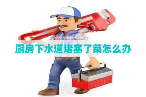 厨房下水道堵塞了菜怎么办