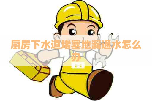 厨房下水道堵塞地漏通水怎么办 厨房下水道堵塞地漏通水怎么办