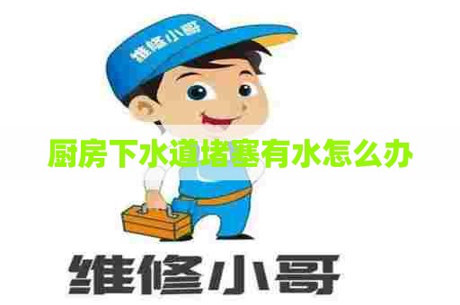 厨房下水道堵塞有水怎么办 厨房下水道堵塞有水怎么办