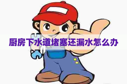 厨房下水道堵塞还漏水怎么办