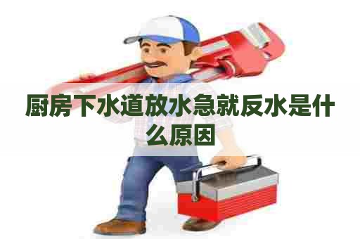 厨房下水道放水急就反水是什么原因