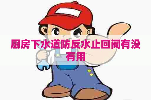 厨房下水道防反水止回阀有没有用
