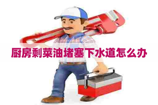 厨房剩菜油堵塞下水道怎么办