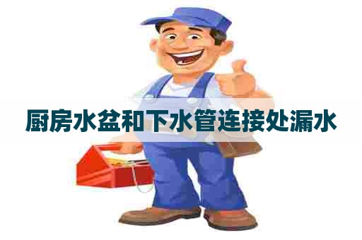 厨房水盆和下水管连接处漏水