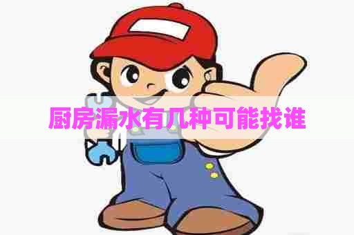 厨房漏水有几种可能找谁 厨房漏水有几种可能找谁