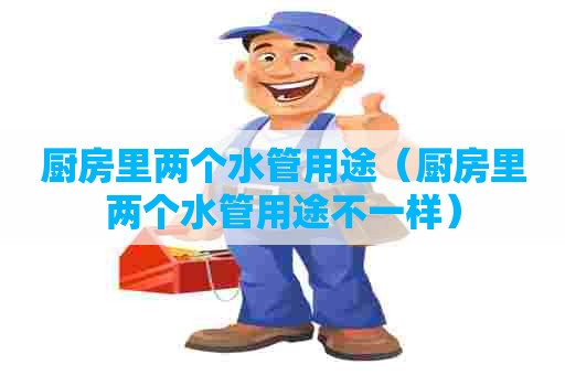 厨房里两个水管用途（厨房里两个水管用途不一样）
