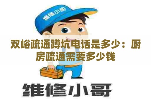 双峪疏通蹲坑电话是多少：厨房疏通需要多少钱
