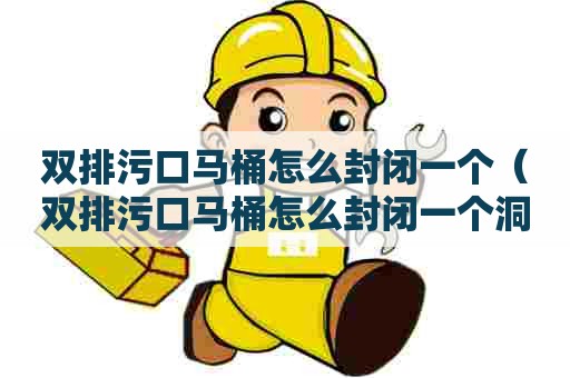 双排污口马桶怎么封闭一个（双排污口马桶怎么封闭一个洞）