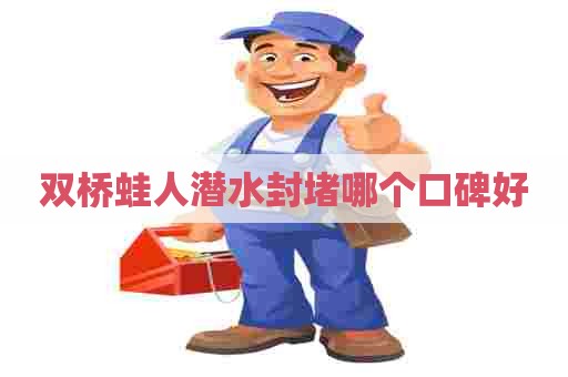 双桥蛙人潜水封堵哪个口碑好