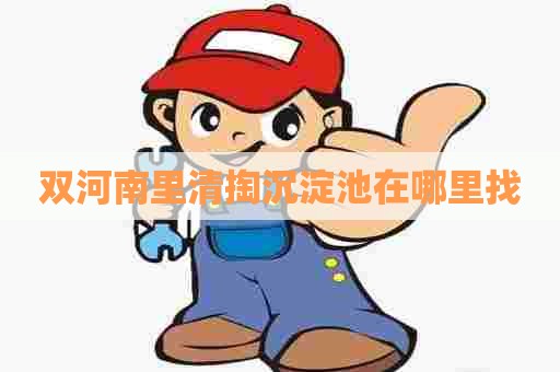 双河南里清掏沉淀池在哪里找 双河南里清掏沉淀池在哪里找
