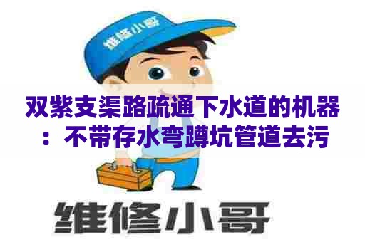 双紫支渠路疏通下水道的机器：不带存水弯蹲坑管道去污