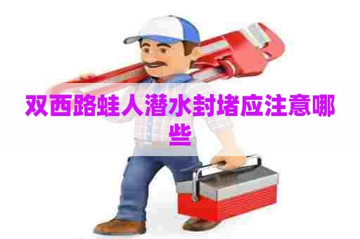 双西路蛙人潜水封堵应注意哪些