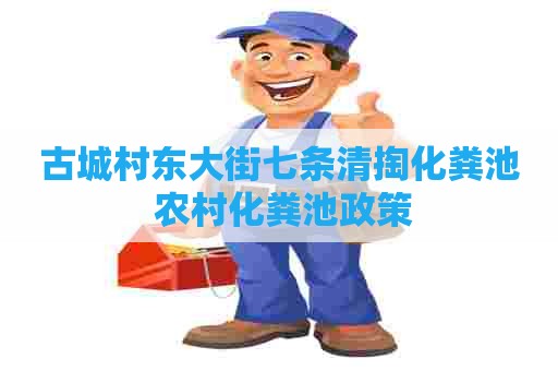 古城村东大街七条清掏化粪池 农村化粪池政策