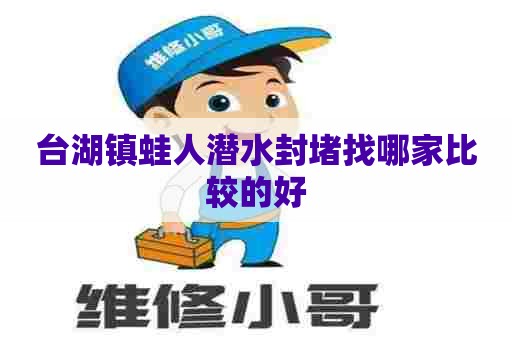 台湖镇蛙人潜水封堵找哪家比较的好
