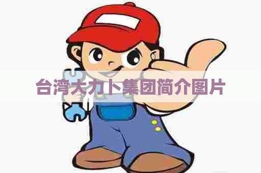 台湾大力卜集团简介图片