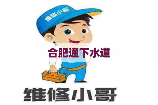 合肥通下水道