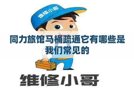 同力旅馆马桶疏通它有哪些是我们常见的