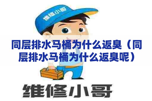 同层排水马桶为什么返臭（同层排水马桶为什么返臭呢）