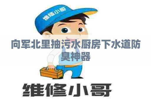 向军北里抽污水厨房下水道防臭神器