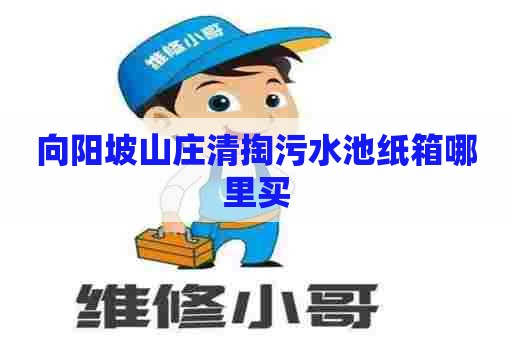 向阳坡山庄清掏污水池纸箱哪里买