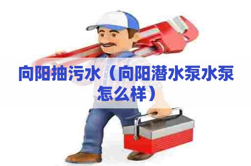 向阳抽污水（向阳潜水泵水泵怎么样）