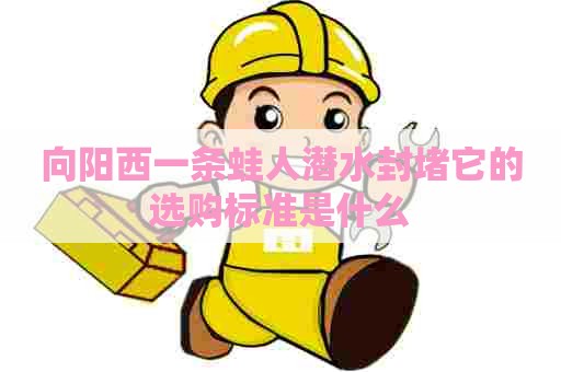 向阳西一条蛙人潜水封堵它的选购标准是什么