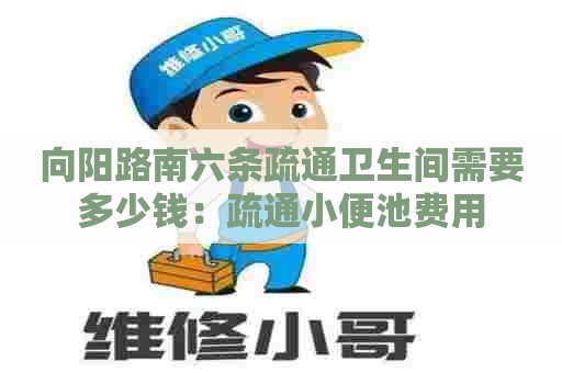 向阳路南六条疏通卫生间需要多少钱：疏通小便池费用