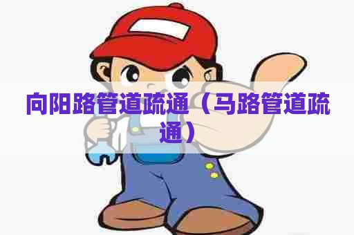 向阳路管道疏通（马路管道疏通）