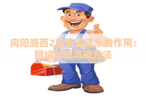 向阳路西2条管道疏水的作用：蹲坑改造马桶方法