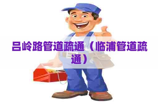 吕岭路管道疏通（临浦管道疏通）