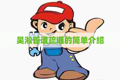 吴淞管道疏通的简单介绍