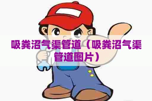 吸粪沼气渠管道(吸粪沼气渠管道图片) 吸粪沼气渠管道(吸粪沼气渠管道图片)