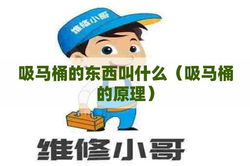 吸马桶的东西叫什么（吸马桶的原理）